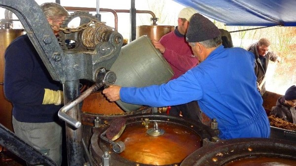 Distillation du marc de savoie