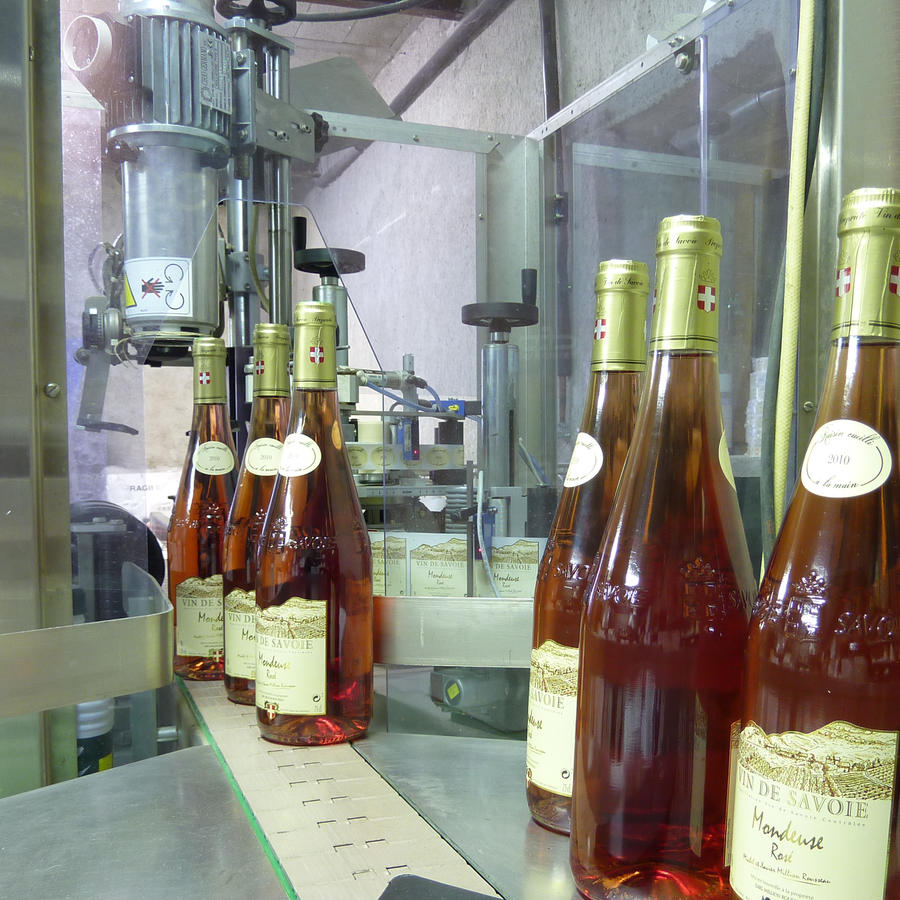 Etiquettage de bouteilles de vin de Savoie à la propriété