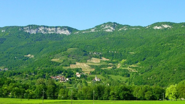 Die Weinbergen von Monthoux in den französischen Alpen