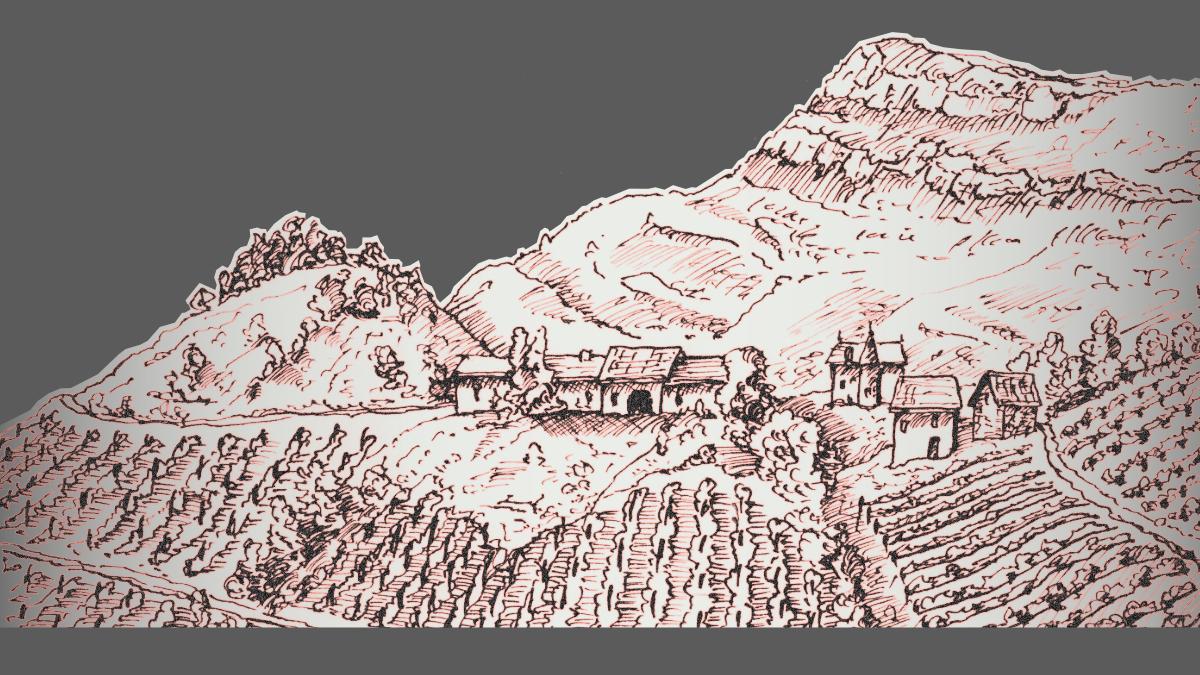 Weinberg unter Monthoux in den französischen Alpen