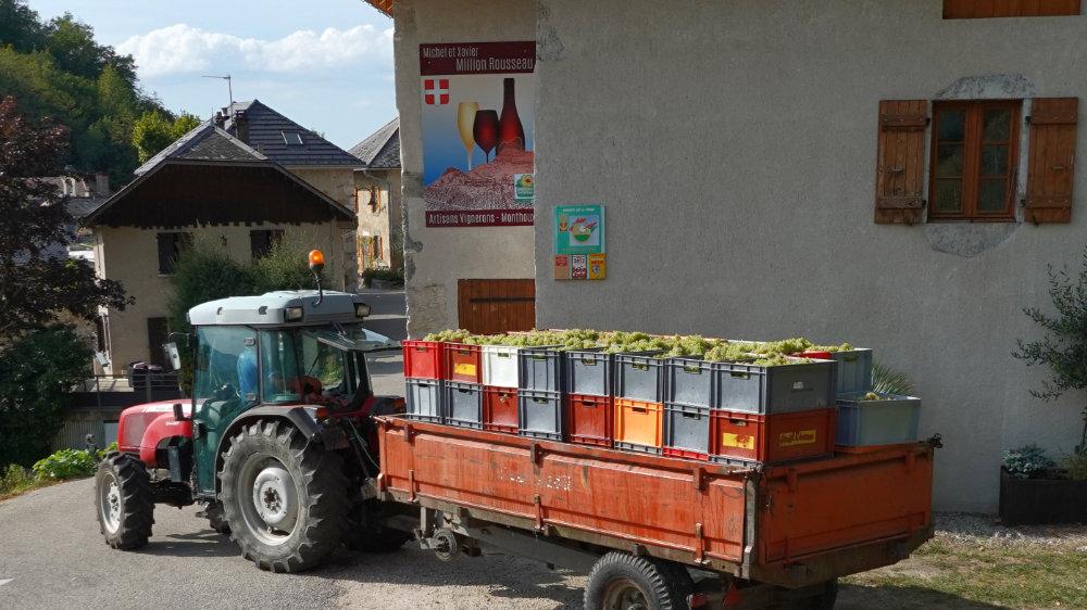 Caisses de vendanges sur une remorque à Monthoux en Savoie