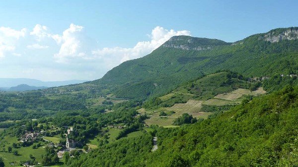 Die Weinbergen des Jongieux Gebiet