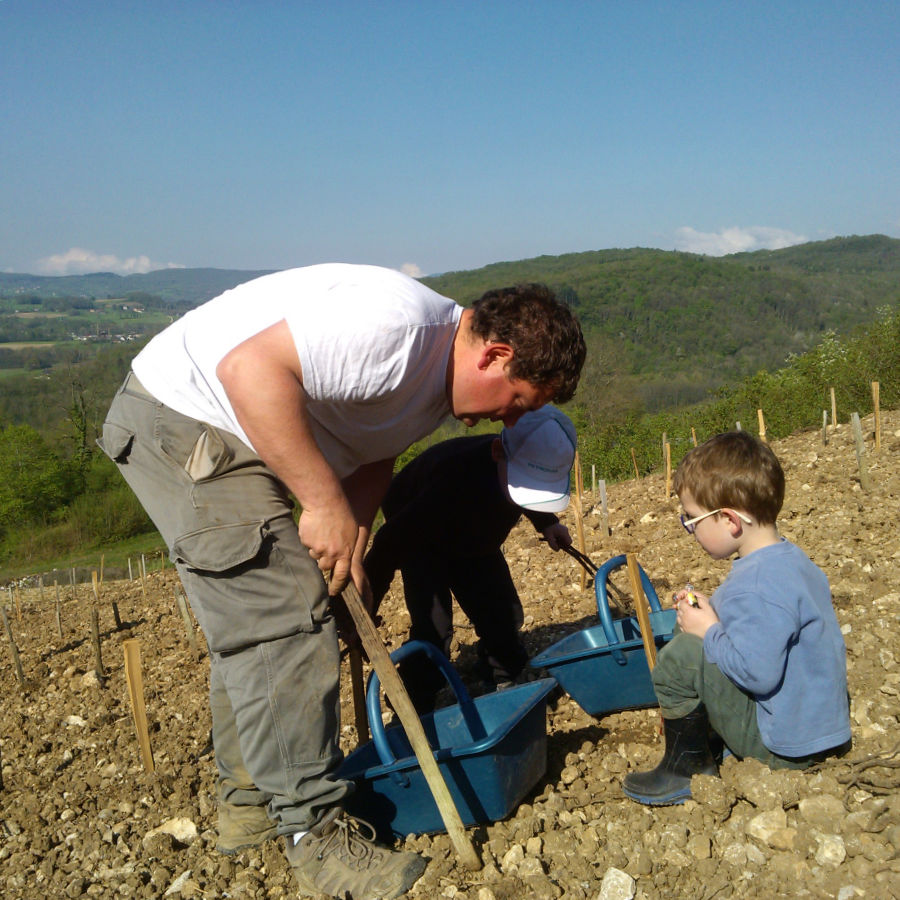 Plantation d'une parcelle de Mondeuse dans le vignoble savoyard