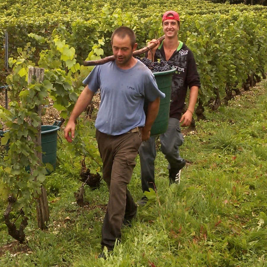 Porteurs de gerle de raisins en Savoie