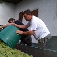 Vendanges monthoux 2014 119 