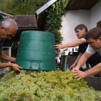 Vendanges monthoux 2014 120 