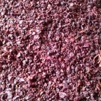 Vendanges monthoux 2014 124 