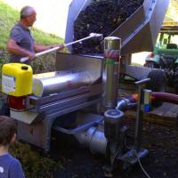 Vendanges monthoux 2014 137 