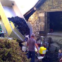 Vendanges monthoux 2014 138 