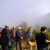Vendanges monthoux 2014 144 