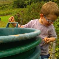 Vendanges monthoux 2014 15 