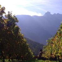 Vendanges monthoux 2014 150 