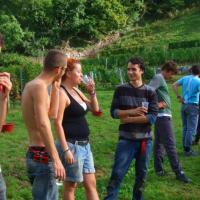 Vendanges monthoux 2014 25 