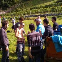 Vendanges monthoux 2014 31 