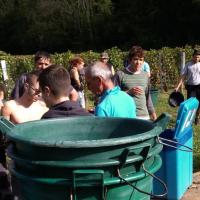 Vendanges monthoux 2014 32 