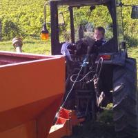 Vendanges monthoux 2014 45 