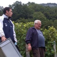 Vendanges monthoux 2014 57 