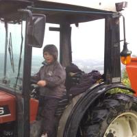 Vendanges monthoux 2014 66 