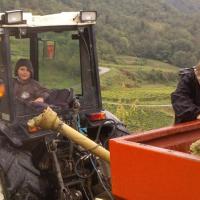 Vendanges monthoux 2014 67 