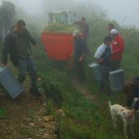 Vendanges monthoux 2014 68 
