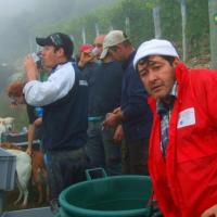 Vendanges monthoux 2014 69 