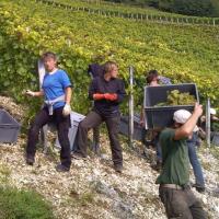 Vendanges monthoux 2014 87 